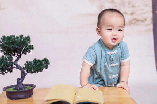 广州供卵代怀包生男孩可爱的企鹅宝宝